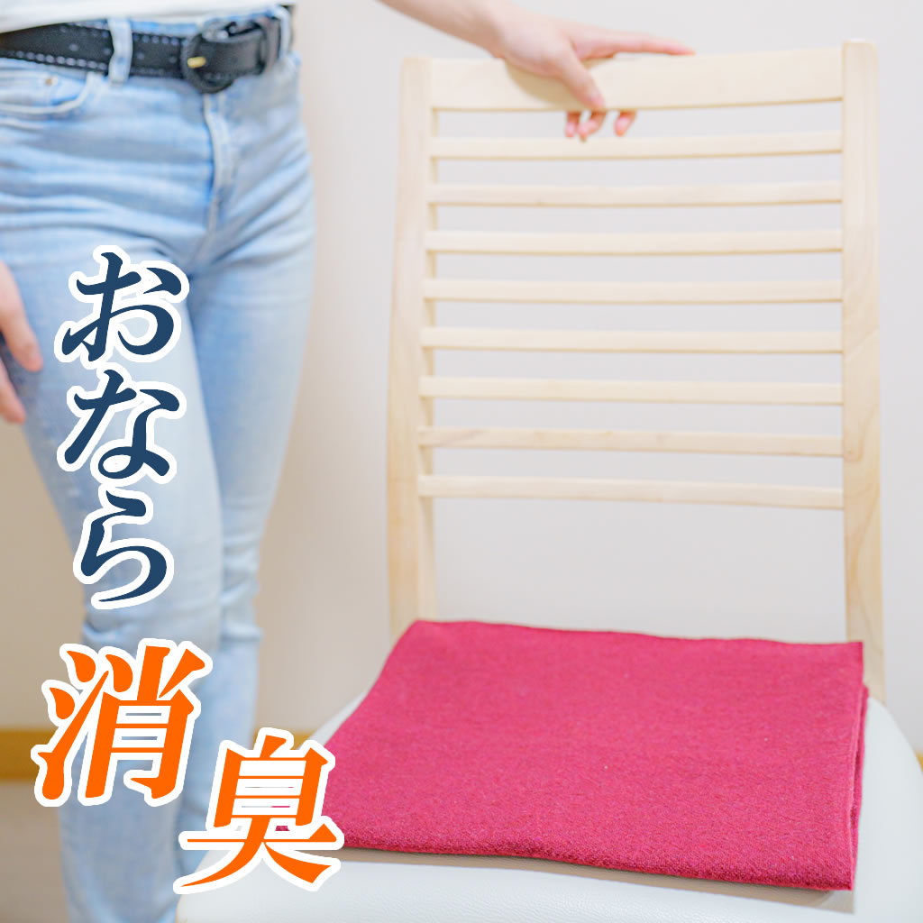 コンパクトサイズのおならマット